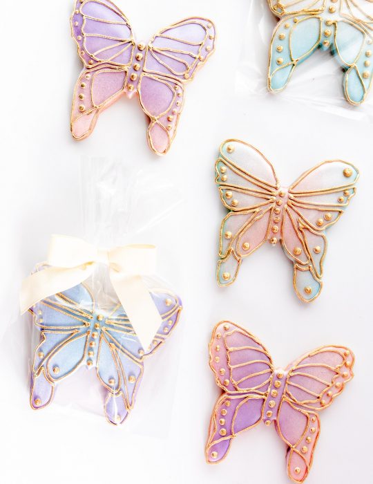 Spring Butterfly Cookie