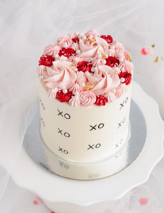 Piped Valentine's Day Cake